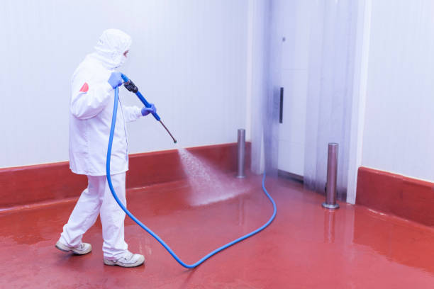 Best Residential Exterior Washing  in Groves, TX